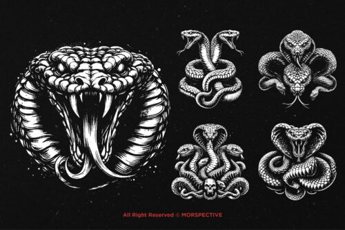 10 Bundle Dark Art Viper Snakes Cobra - Image 3