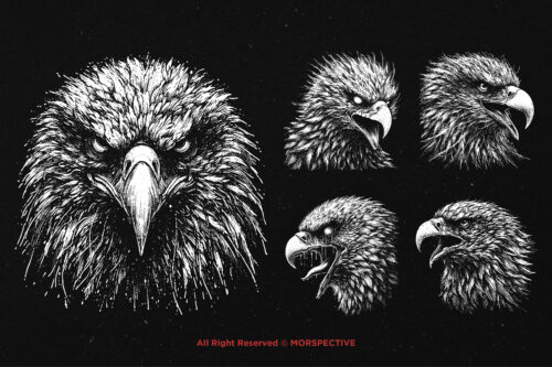 10 Bundle Dark Art Eagle Bird Head - Image 3