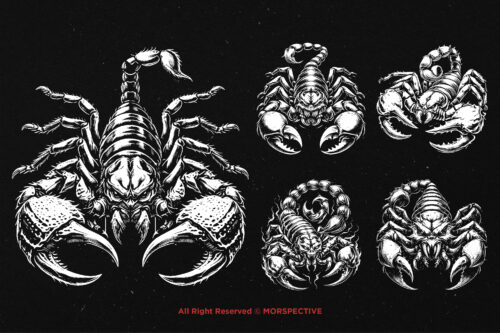 10 Bundle Dark Art Scorpion Skull - Image 5