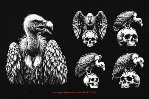 10 Bundle Dark Art Vultur Bird Death - Image 5