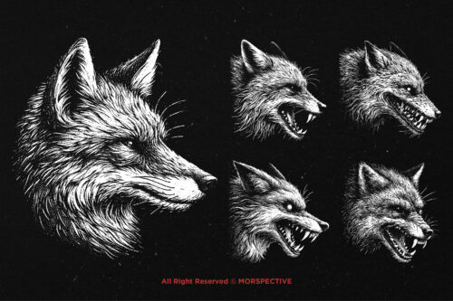 10 Bundle Dark Art Fox Face - Image 5