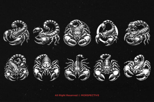 10 Bundle Dark Art Scorpion Skull - Image 6