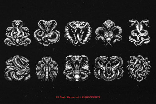 10 Bundle Dark Art Viper Snakes Cobra - Image 6