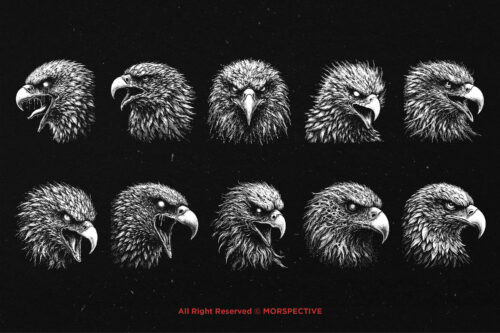 10 Bundle Dark Art Eagle Bird Head - Image 6