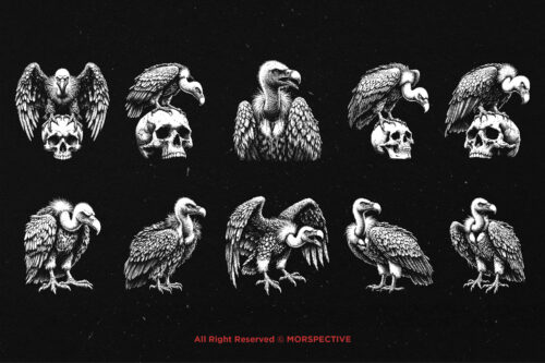 10 Bundle Dark Art Vultur Bird Death - Image 6