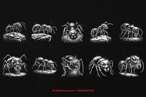 10 Bundle Dark Art Ant Insect - Image 6