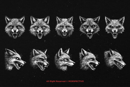 10 Bundle Dark Art Fox Face - Image 6