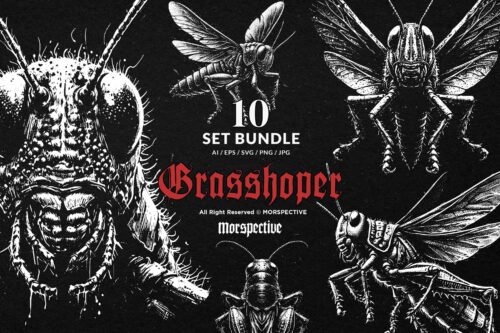 10 Bundle Dark Art Grasshopper Insect