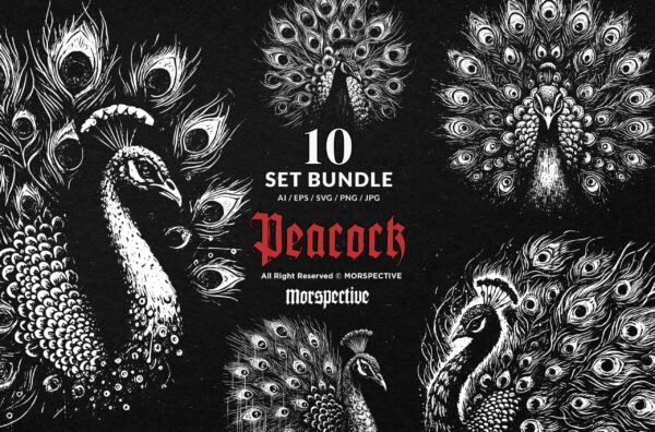 10 Bundle Dark Art Peacock Bird