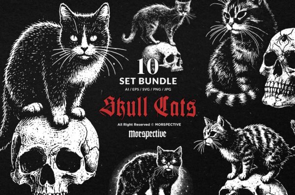 10 Bundle Dark Art Skull Cat Kitten