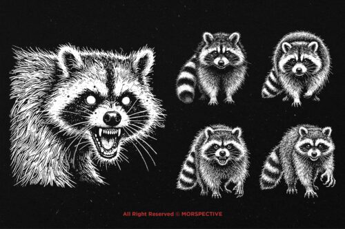 10 Bundle Dark Art Racoon - Image 3