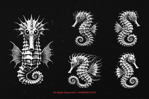 10 Bundle Dark Art Seahorse Sea - Image 3