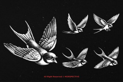 10 Bundle Dark Art Swallow Bird - Image 3