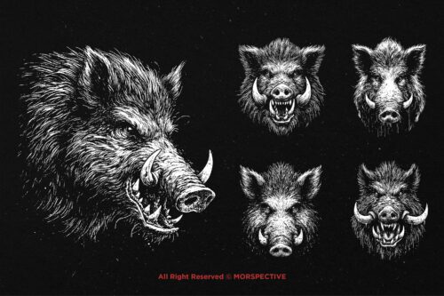 10 Bundle Dark Art Boars Wild - Image 3