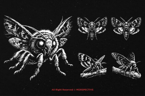 10 Bundle Dark Art Moth Skull - Image 3