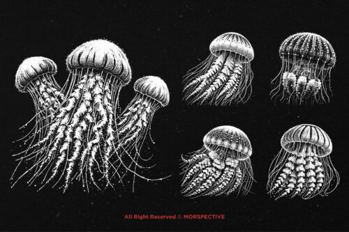 10 Bundle Dark Art Jellyfish - Image 3