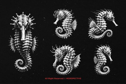 10 Bundle Dark Art Seahorse Sea - Image 5