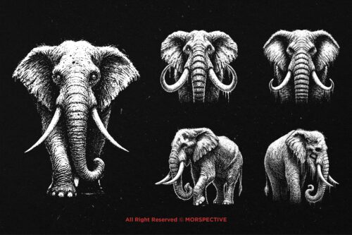 10 Bundle Dark Art Elephant Head - Image 5