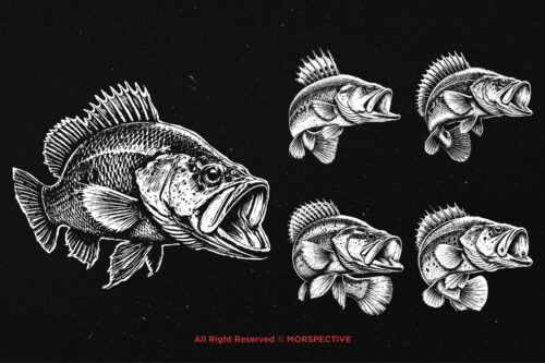 10 Bundle Dark Art Peacock Fishing Bass - Image 5