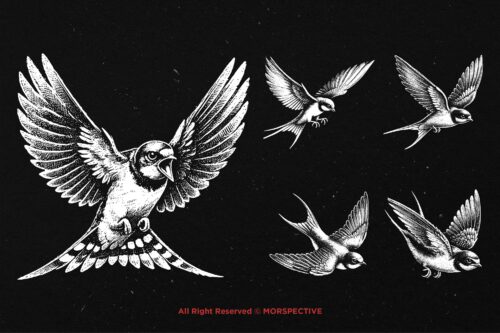 10 Bundle Dark Art Swallow Bird - Image 5