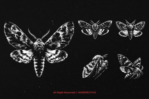 10 Bundle Dark Art Moth Skull - Image 5