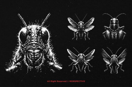 10 Bundle Dark Art Grasshopper Insect - Image 5
