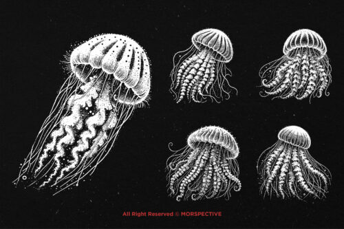 10 Bundle Dark Art Jellyfish - Image 5