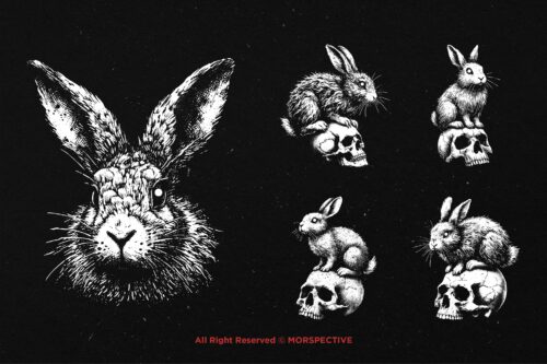 10 Bundle Dark Art Rabbit Skull Bunny - Image 5