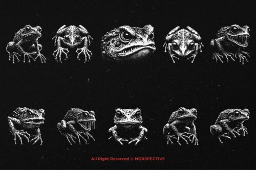 10 Bundle Dark Art Frog Skull - Image 6