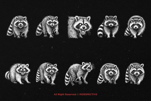 10 Bundle Dark Art Racoon - Image 6