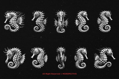 10 Bundle Dark Art Seahorse Sea - Image 6