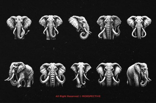 10 Bundle Dark Art Elephant Head - Image 6