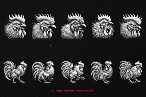 10 Bundle Dark Art Rooster Chicken - Image 6
