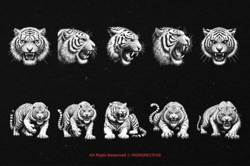 10 Bundle Dark Art White Tiger - Image 6