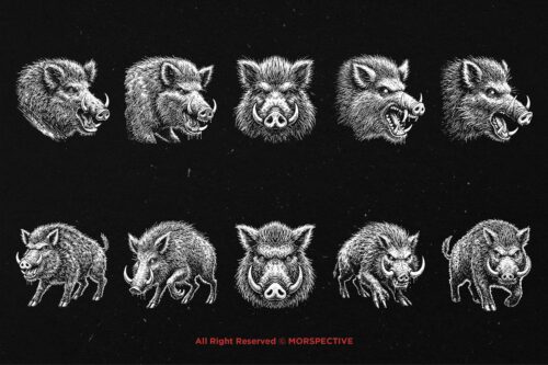10 Bundle Dark Art Wild Boar Beast - Image 6