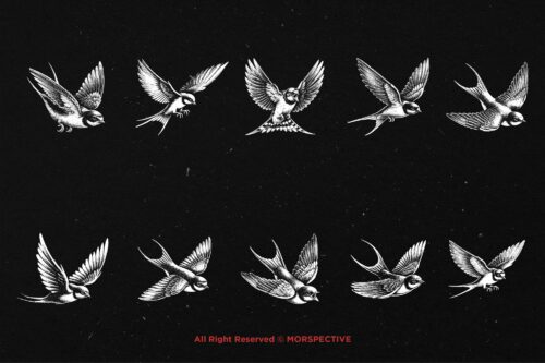 10 Bundle Dark Art Swallow Bird - Image 6