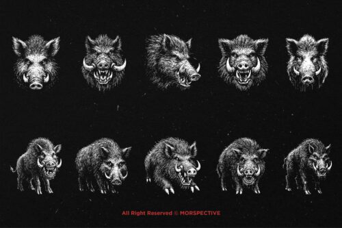 10 Bundle Dark Art Boars Wild - Image 6