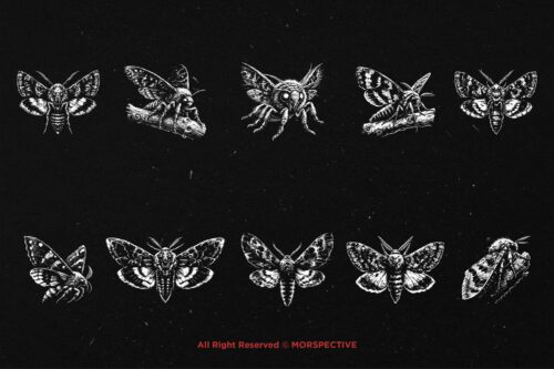 10 Bundle Dark Art Moth Skull - Image 6