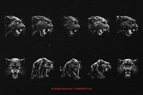 10 Bundle Dark Art Panther Beast - Image 6