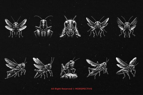10 Bundle Dark Art Grasshopper Insect - Image 6
