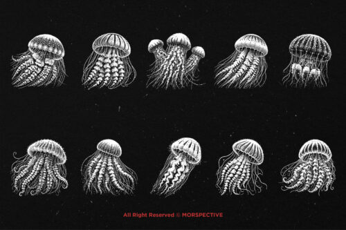 10 Bundle Dark Art Jellyfish - Image 6