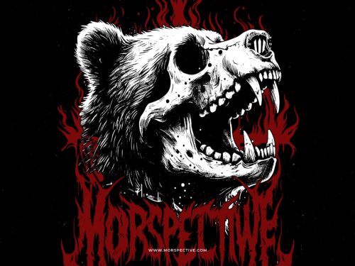 Bear Skull - Image 2