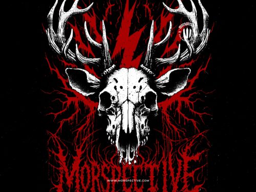 Skeleton Deer Head - Image 2