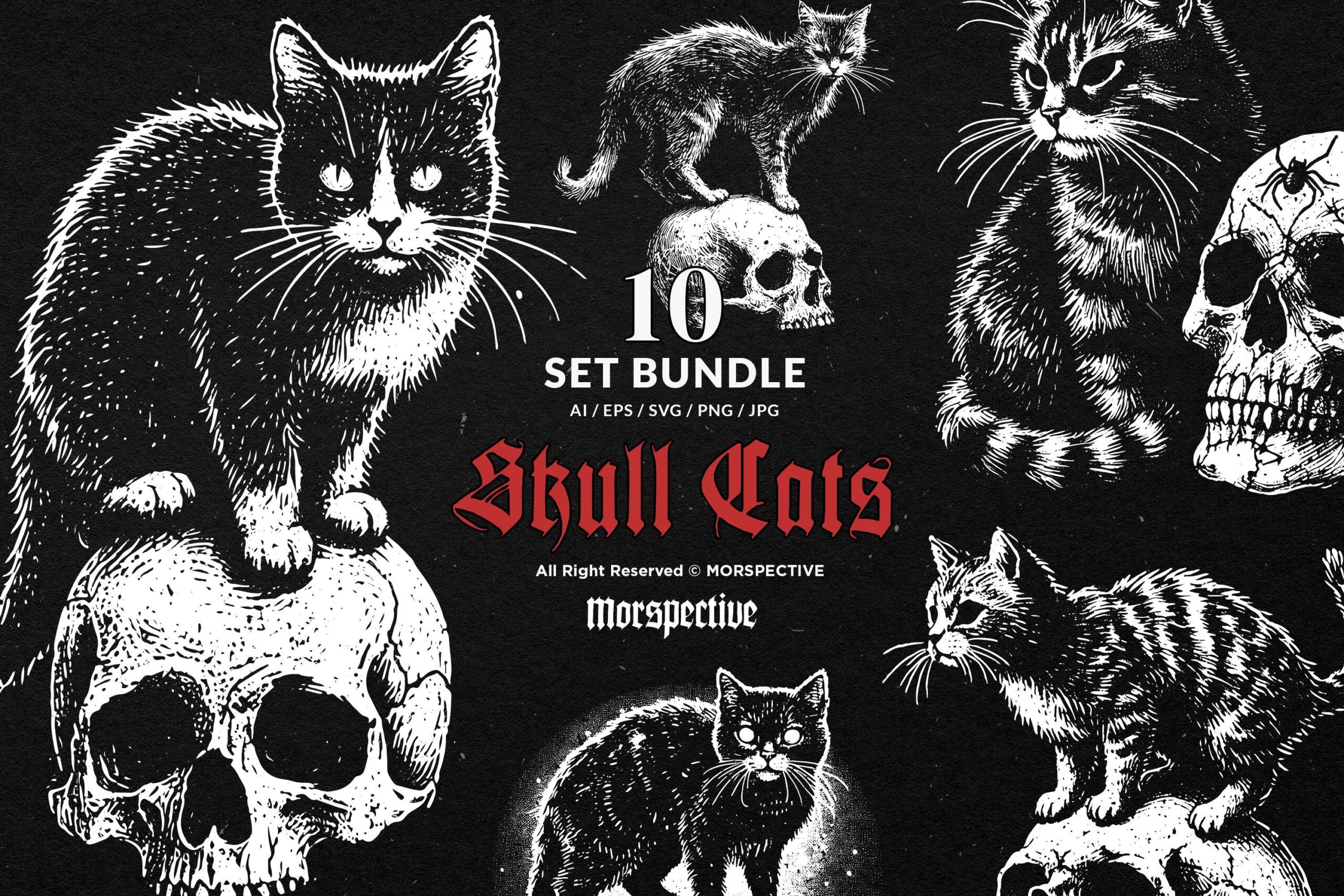 10 Bundle Dark Art Skull Cat