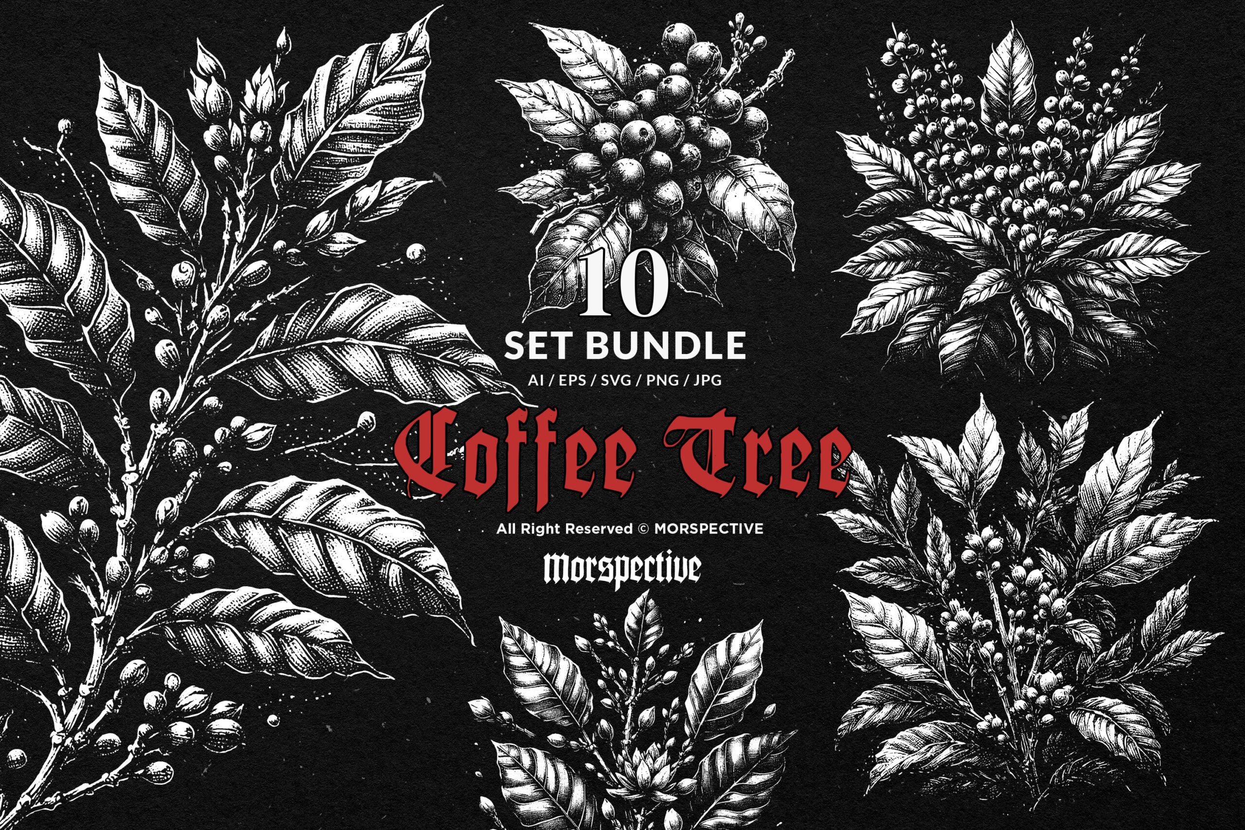 10 Bundle Dark Art Coffee Tree