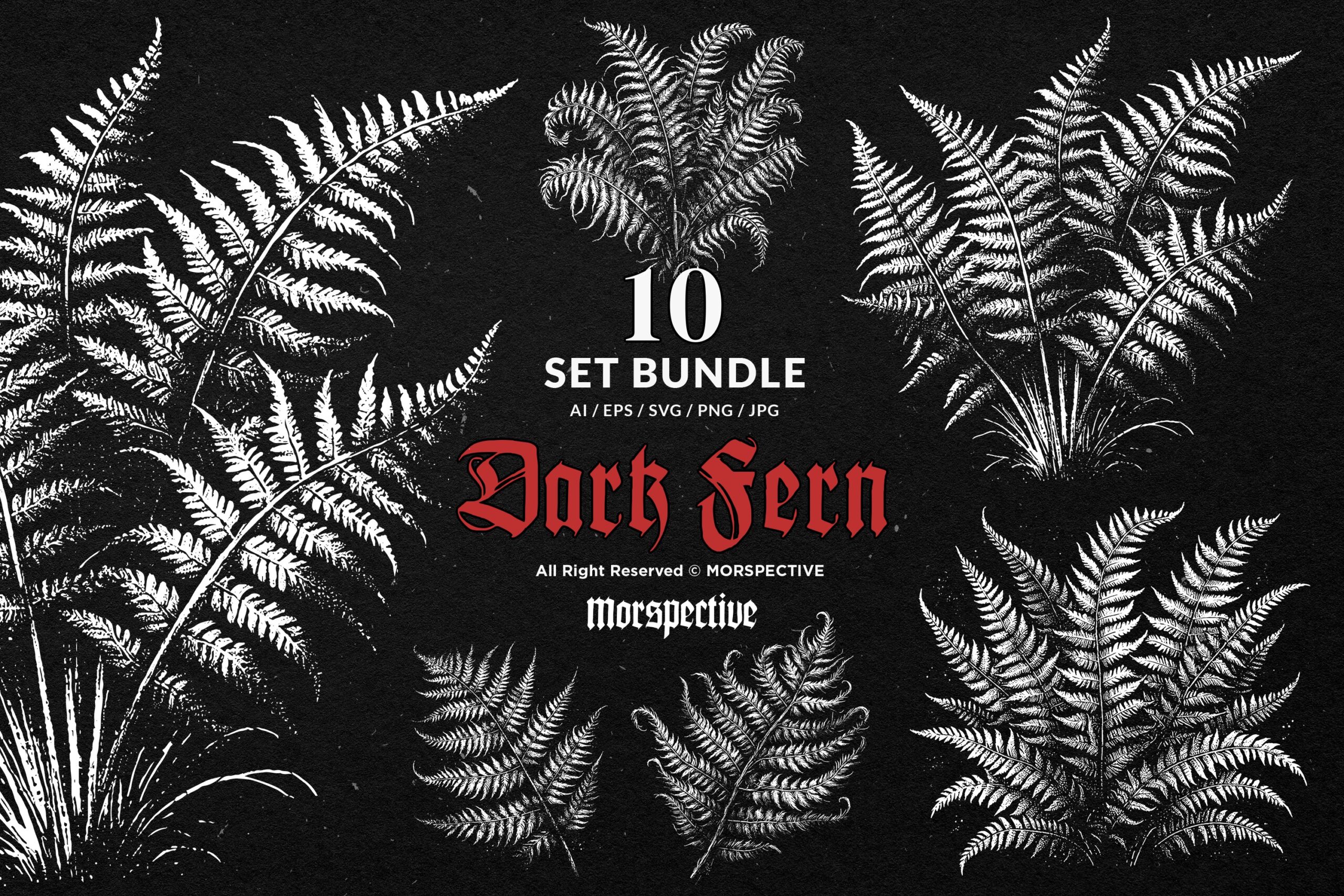 10 Bundle Dark Art Fern Plant