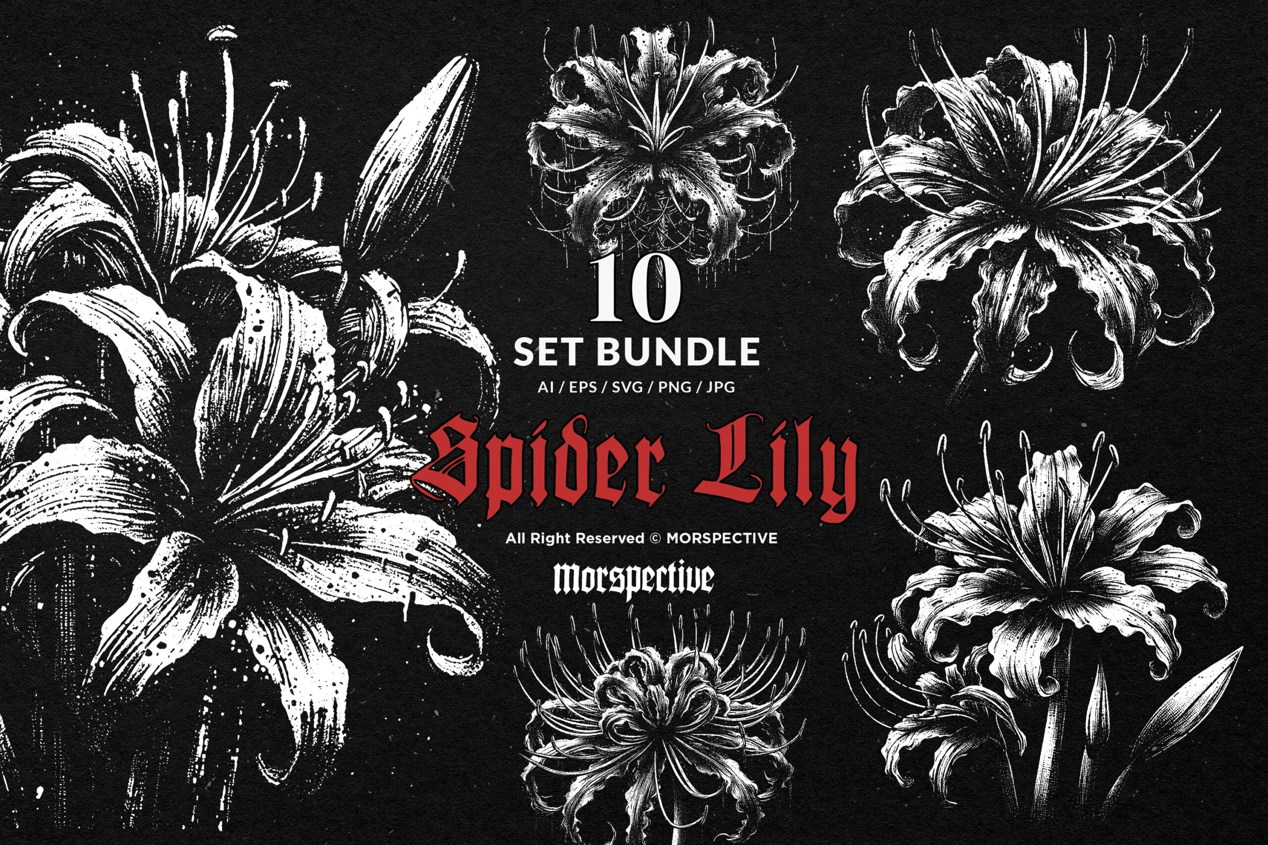10 Bundle Dark Art Spider Lily Flower