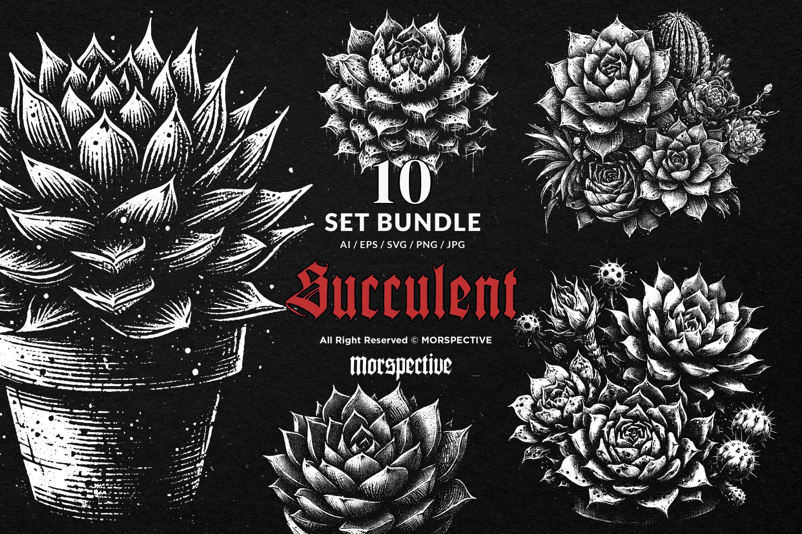 10 Bundle Dark Art Succulent Cactus 1 10 Bundle Dark Art Succulent Cactus