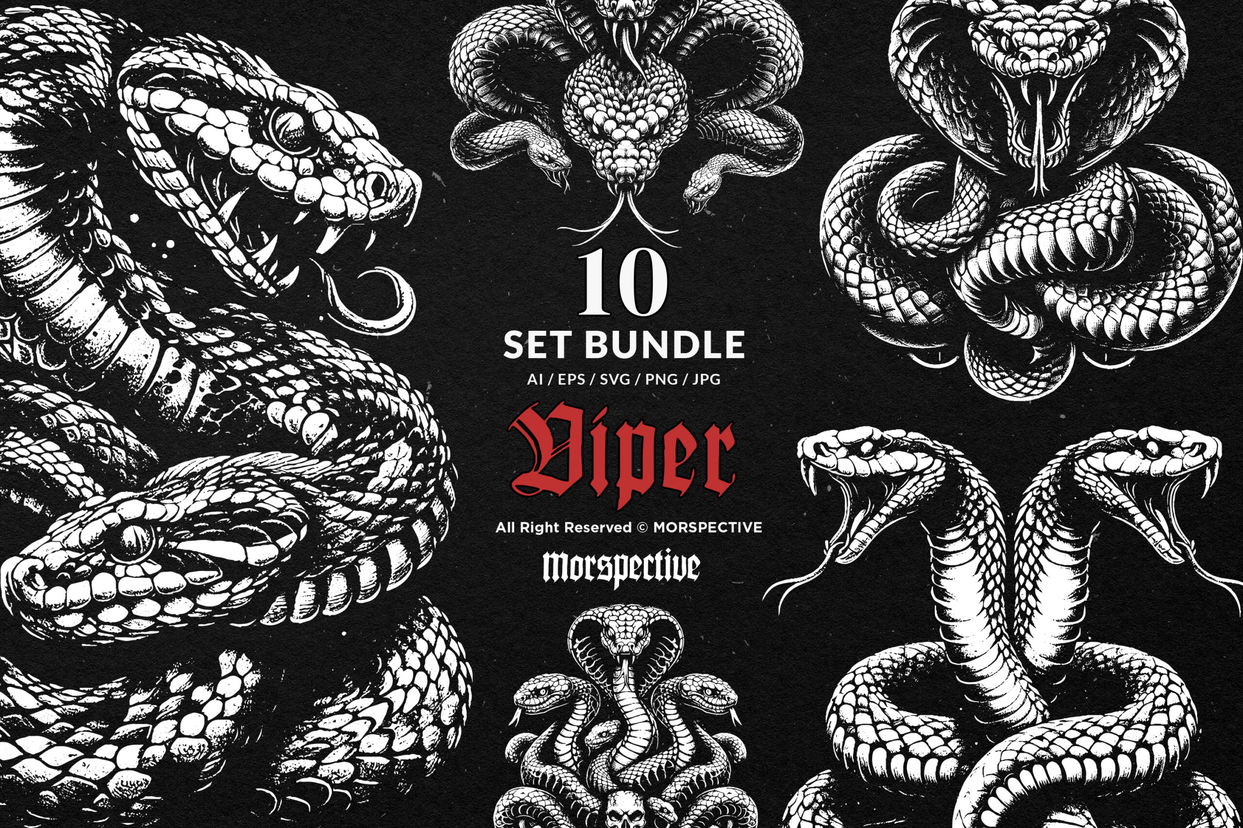 10 Bundle Dark Art Viper Snakes