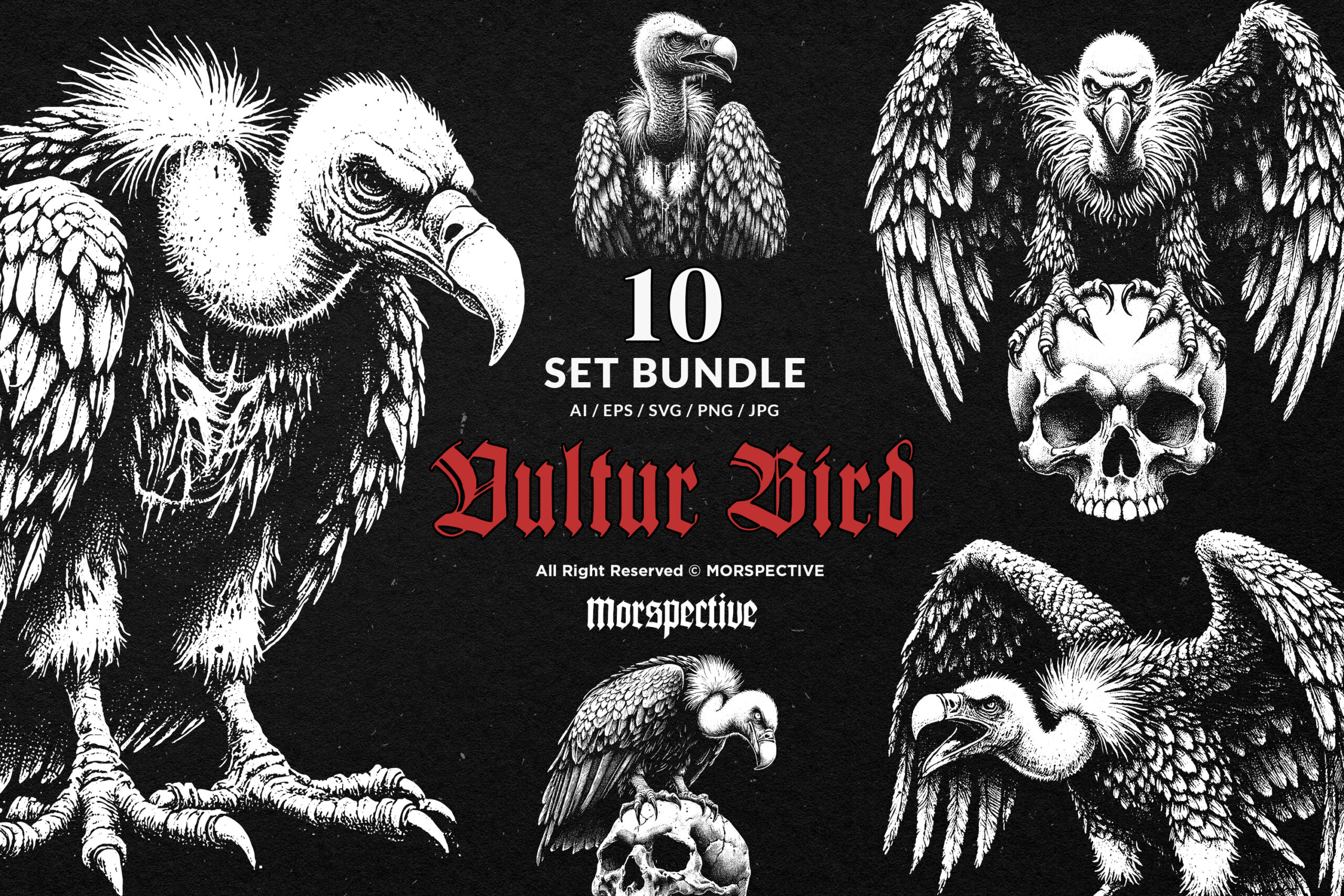 10 Bundle Dark Art Vultur Bird 1 10 Bundle Dark Art Vultur Bird